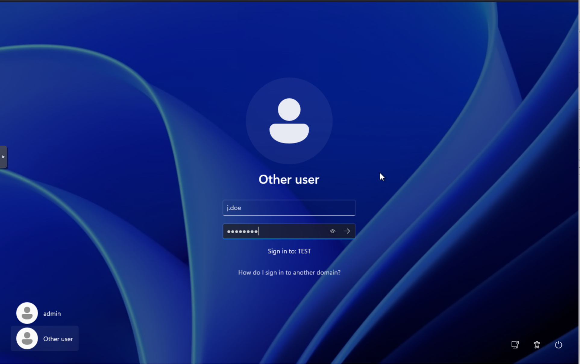 Windows 11: Login screen with domain user